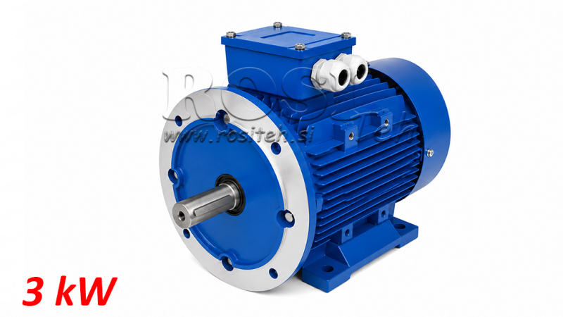 3KW-ΗΛΕΚΤΡΙΚΟΣ ΚΙΝΗΤΗΡΑΣ MS100L2-4_1420RPM 3ΦΑΣΙΚΟΣ ΠΟΔΙΑ+ΦΛΑΝΤΖΑ-B3B5