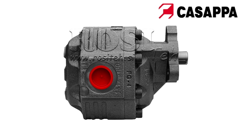 ΥΔΡΑΥΛΙΚΗ ΑΝΤΛΙΑ ΧΥΤΟΥ ΣΙΔΗΡΟΥ ΑΝΑΤΡΟΠΗΣ 100CC CASAPPA