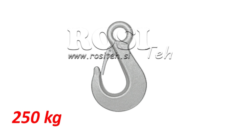 HAKEN MIT BEFESTIGUNGSAUGE 250 kg