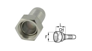 BSP-ZENSKÉ-SPOJENIA