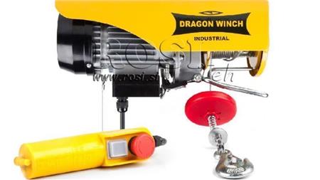230 V ЕЛЕКТРИЧЕСКА ВИНЧА DWI 125/250 кг